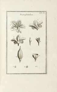 JOSEPH TOURNEFORT (DE) PITTON : Institutiones rei herbariae. Editio tertia. Appendicibus aucta ab Antonio De Jussieu [...] Tomus primo [-tertio].  - Asta Libri a stampa dal XV al XIX secolo [Parte II] - Associazione Nazionale - Case d'Asta italiane