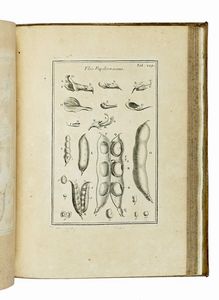JOSEPH TOURNEFORT (DE) PITTON : Institutiones rei herbariae. Editio tertia. Appendicibus aucta ab Antonio De Jussieu [...] Tomus primo [-tertio].  - Asta Libri a stampa dal XV al XIX secolo [Parte II] - Associazione Nazionale - Case d'Asta italiane