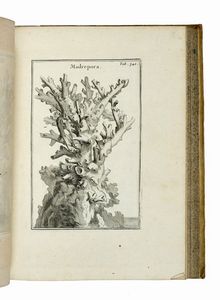 JOSEPH TOURNEFORT (DE) PITTON : Institutiones rei herbariae. Editio tertia. Appendicibus aucta ab Antonio De Jussieu [...] Tomus primo [-tertio].  - Asta Libri a stampa dal XV al XIX secolo [Parte II] - Associazione Nazionale - Case d'Asta italiane