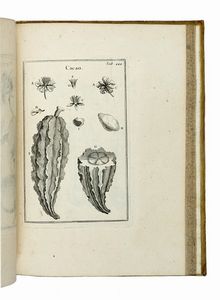 JOSEPH TOURNEFORT (DE) PITTON : Institutiones rei herbariae. Editio tertia. Appendicibus aucta ab Antonio De Jussieu [...] Tomus primo [-tertio].  - Asta Libri a stampa dal XV al XIX secolo [Parte II] - Associazione Nazionale - Case d'Asta italiane