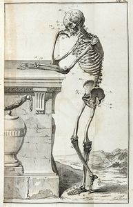 GIUSEPPE GAZOLA : Il mondo inganato da falsi medici e disingannato...  - Asta Libri a stampa dal XV al XIX secolo [Parte II] - Associazione Nazionale - Case d'Asta italiane