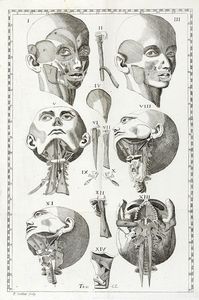 JACQUES BNIGNE WINSLOW : Esposizione anatomica della struttura del corpo umano [...] Tomo primo (-secondo).  - Asta Libri a stampa dal XV al XIX secolo [Parte II] - Associazione Nazionale - Case d'Asta italiane