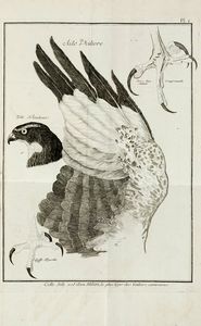 JEAN HUBER : Observations sur le vol des oiseaux de proie.  - Asta Libri a stampa dal XV al XIX secolo [Parte II] - Associazione Nazionale - Case d'Asta italiane