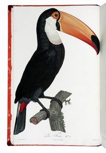 FRANOIS LEVAILLANT : Histoire naturelle des oiseaux de paradis et des rolliers, suivie de celle des Toucans et des Barbus. Tome premier (-second).  - Asta Libri a stampa dal XV al XIX secolo [Parte II] - Associazione Nazionale - Case d'Asta italiane