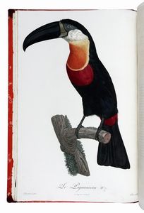 FRANOIS LEVAILLANT : Histoire naturelle des oiseaux de paradis et des rolliers, suivie de celle des Toucans et des Barbus. Tome premier (-second).  - Asta Libri a stampa dal XV al XIX secolo [Parte II] - Associazione Nazionale - Case d'Asta italiane