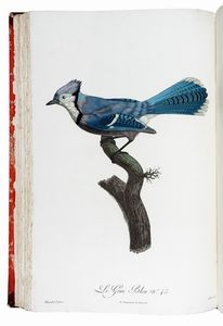 FRANOIS LEVAILLANT : Histoire naturelle des oiseaux de paradis et des rolliers, suivie de celle des Toucans et des Barbus. Tome premier (-second).  - Asta Libri a stampa dal XV al XIX secolo [Parte II] - Associazione Nazionale - Case d'Asta italiane