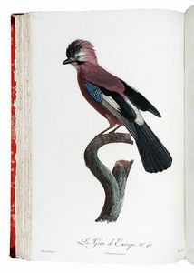 FRANOIS LEVAILLANT : Histoire naturelle des oiseaux de paradis et des rolliers, suivie de celle des Toucans et des Barbus. Tome premier (-second).  - Asta Libri a stampa dal XV al XIX secolo [Parte II] - Associazione Nazionale - Case d'Asta italiane
