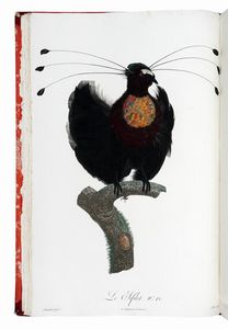 FRANOIS LEVAILLANT : Histoire naturelle des oiseaux de paradis et des rolliers, suivie de celle des Toucans et des Barbus. Tome premier (-second).  - Asta Libri a stampa dal XV al XIX secolo [Parte II] - Associazione Nazionale - Case d'Asta italiane