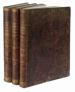 FELIX JEAN BAPTISTE JOSEPH REIBELL : Nuovo corso completo di pubbliche costruzioni dietro il celebre programma di Mattia Giuseppe Sganzin [...] Volume primo (-terzo).  - Asta Libri a stampa dal XV al XIX secolo [Parte II] - Associazione Nazionale - Case d'Asta italiane