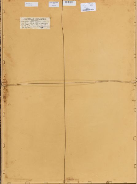 MARCELLO MORANDINI : 154  A - 155 B - 155. A  - Asta Arte Moderna e Contemporanea - Associazione Nazionale - Case d'Asta italiane