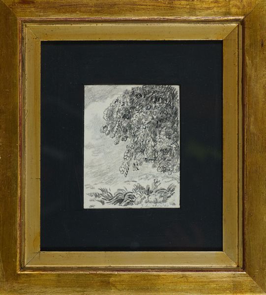 Giorgio de Chirico : Albero  - Asta Arte Moderna e Contemporanea - Associazione Nazionale - Case d'Asta italiane