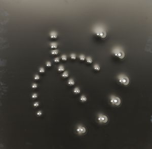 ANGELO BRESCIANINI - N° 27 spari di pistola cal. 22 e cal. 46