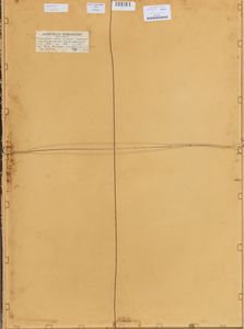 MARCELLO MORANDINI : 154  A - 155 B - 155. A  - Asta Arte Moderna e Contemporanea - Associazione Nazionale - Case d'Asta italiane