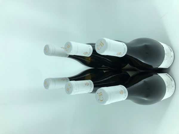 Tenuta Ca' Bolani Pinot Grigio Friuli Aquileia  - Asta Vini e Distillati. D'Annata, Pregiati e da Collezione - Associazione Nazionale - Case d'Asta italiane