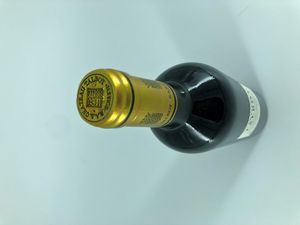 Château Talbot, Saint-Julien  - Asta Vini e Distillati. D'Annata, Pregiati e da Collezione - Associazione Nazionale - Case d'Asta italiane