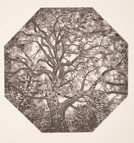 FEDERICA GALLI : Senza titolo  - Asta Prints & Multiples - Associazione Nazionale - Case d'Asta italiane