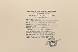 Christo : Surrounded Island - Project for Biscayne Bay, Miami  - Asta Prints & Multiples - Associazione Nazionale - Case d'Asta italiane