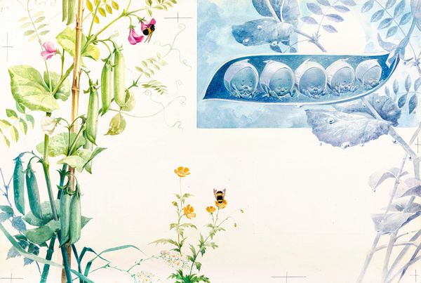 Michele (Angelo Bioletto) : Cinque in un baccello  - Asta Fairy Tales / Illustrazioni Originali - Associazione Nazionale - Case d'Asta italiane