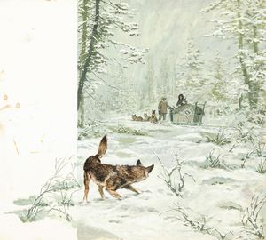 Sani (Sandro Nardini) - Zanna Bianca