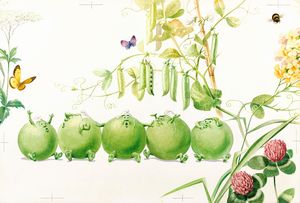 Michele (Angelo Bioletto) - Cinque in un baccello