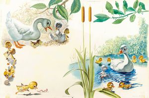 Ugo Fontana - Il brutto anatroccolo