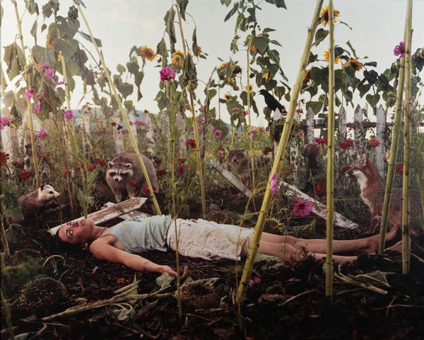 Gregory Crewdson : Untitled (Dead girl in garden)  - Asta Fotografia - Associazione Nazionale - Case d'Asta italiane