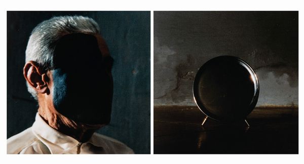 MICHELE ZAZA : Mimesi  - Asta Fotografia - Associazione Nazionale - Case d'Asta italiane