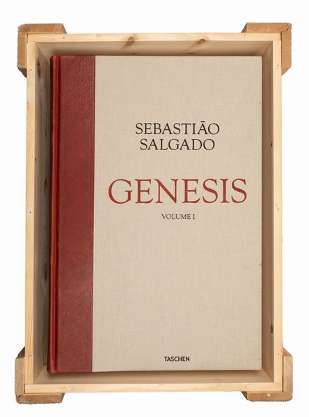 Sebastião Salgado : Genesis  - Asta Fotografia - Associazione Nazionale - Case d'Asta italiane