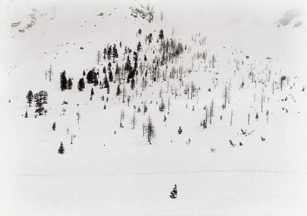 George Tatge : S. Vigilio  - Asta Fotografia - Associazione Nazionale - Case d'Asta italiane