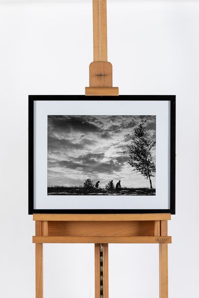 NINO MIGLIORI : Ombre in cielo  - Asta Fotografia - Associazione Nazionale - Case d'Asta italiane