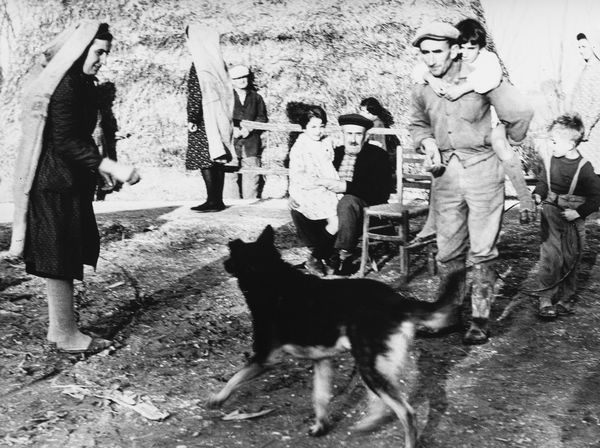 Mario Giacomelli : La buona terra  - Asta Fotografia - Associazione Nazionale - Case d'Asta italiane
