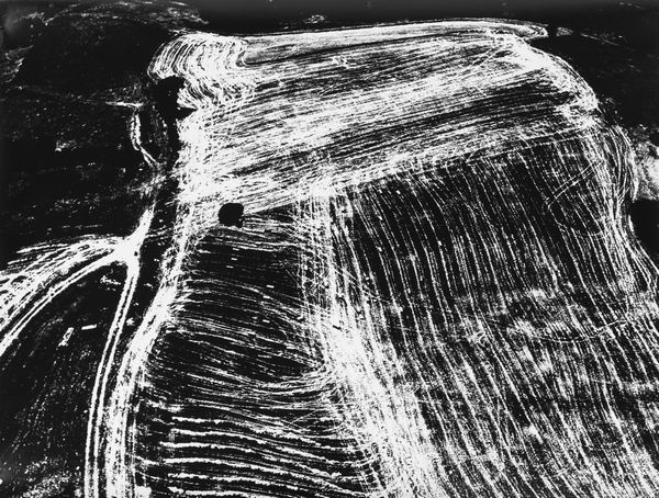 Mario Giacomelli : Presa di coscienza sulla natura  - Asta Fotografia - Associazione Nazionale - Case d'Asta italiane