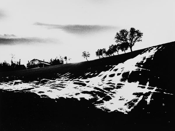 Mario Giacomelli : La prima neve  - Asta Fotografia - Associazione Nazionale - Case d'Asta italiane