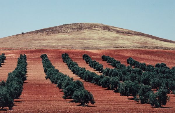Franco Fontana : Paesaggio, Spagna  - Asta Fotografia - Associazione Nazionale - Case d'Asta italiane