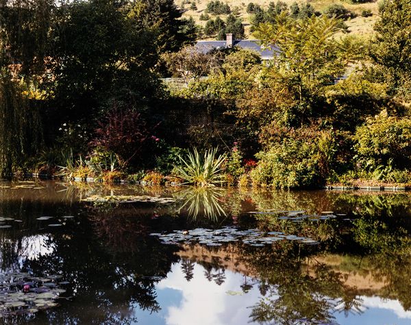 Stephen Shore : Giverny 25  - Asta Fotografia - Associazione Nazionale - Case d'Asta italiane