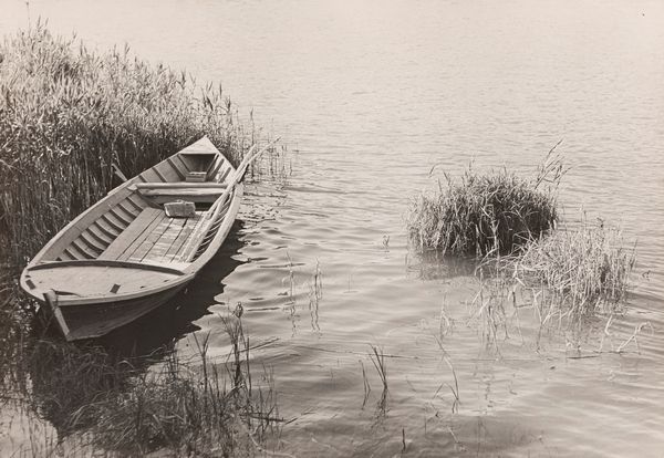 Giuseppe Cavalli : Senza titolo  - Asta Fotografia - Associazione Nazionale - Case d'Asta italiane