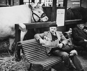 André Kertèsz - Paris