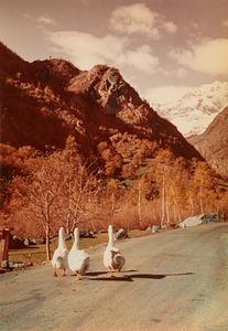 Riccardo Moncalvo - Per strada, Oche a Morgex