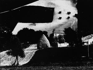 Mario Giacomelli - Presa di coscienza sulla natura