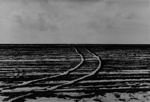 Abbas Kiarostami - Senza titolo, dalla serie Road