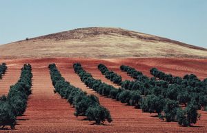 Franco Fontana - Paesaggio, Spagna