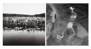 Sally Gall - Hyacinter ; Senza titolo