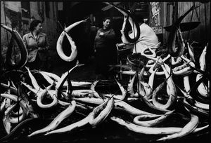 Leonard Freed - Fish, Naples