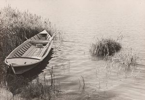 Giuseppe Cavalli - Senza titolo