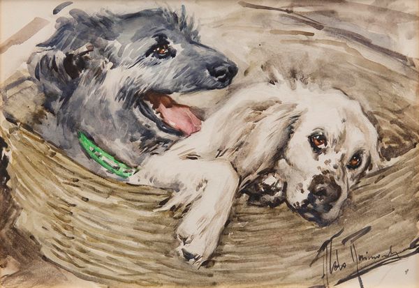 Aldo Raimondi : Cani e gatti  - Asta Arte Figurativa tra XIX e XX Secolo - Associazione Nazionale - Case d'Asta italiane