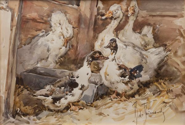 Aldo Raimondi : Animali da fattoria  - Asta Arte Figurativa tra XIX e XX Secolo - Associazione Nazionale - Case d'Asta italiane