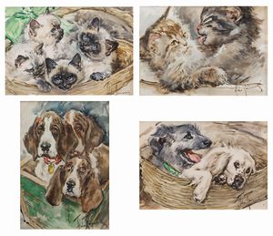 Aldo Raimondi - Cani e gatti