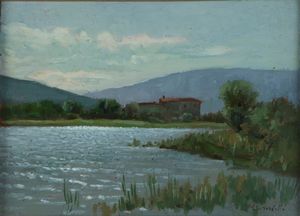 Vincenzo Ghirardelli - Spinone al lago