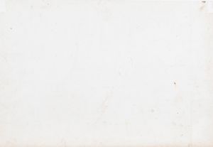 Lotto composto da cinque stampe dalla serie Reise des Grafen Emanuel Andrasy in Ostindien Ceylon, Java, China und Bengalen, edita da Hermann Geibel, Budapest, 1859  - Asta Arte Figurativa tra XIX e XX Secolo - Associazione Nazionale - Case d'Asta italiane
