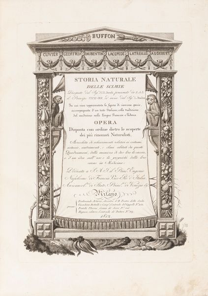 Jacob, Nicolas Henri - Hugues, Pietro : Storia naturale delle scimie disegnate dal sig.r N.H. Jacob...ed incise dal sig.r L. Rados  - Asta Libri, Autografi e Stampe - Associazione Nazionale - Case d'Asta italiane